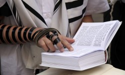 Suspendisse arcu nisl